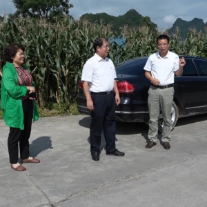 Τ���µ�����������ʳ��ȫ��������