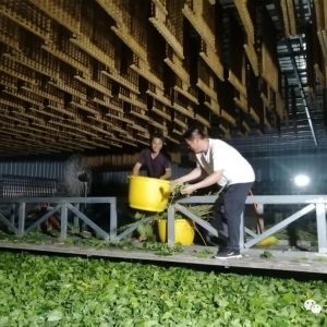 �����磺������+�ͼ족 ɣ���¡���˿��