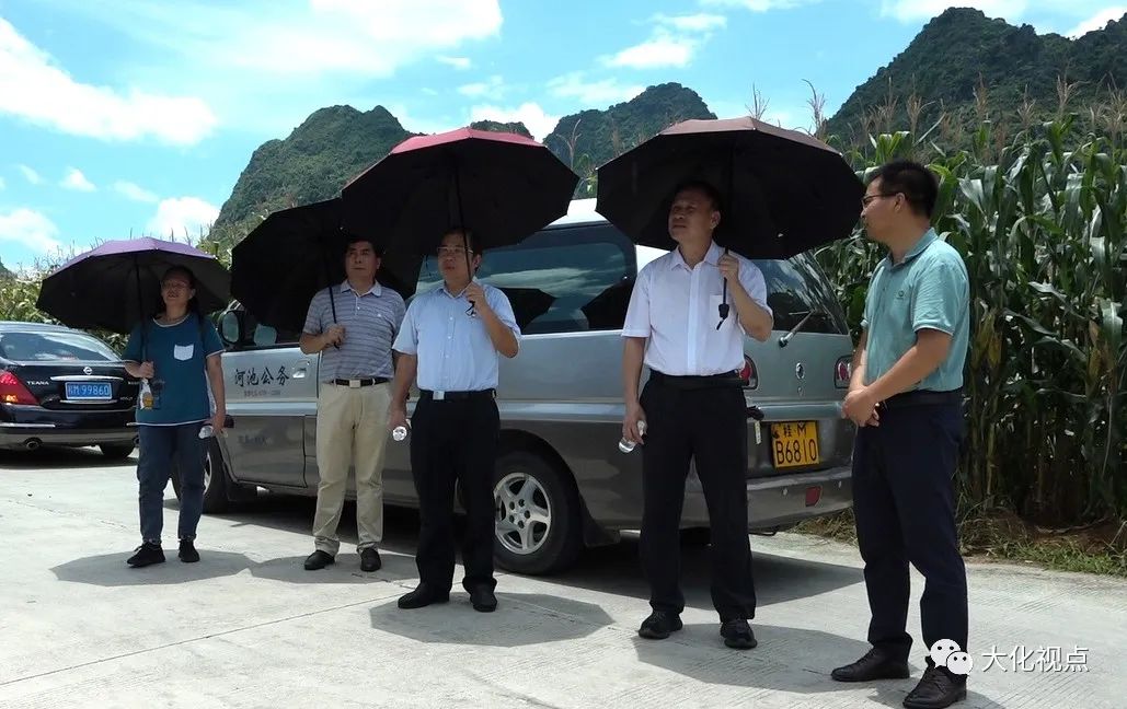 自治县人大常委会主任韦佳勇参加专题调研活动,自治县人民政府副县长