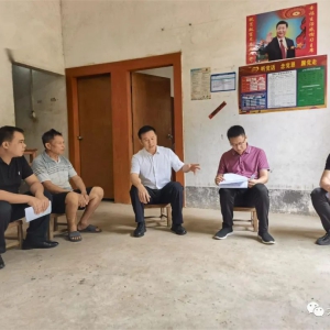 ���쵼���󻯿�չ�߷õ��й���