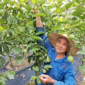 ǧ��߽�����죡����������ʵ�̱��˱߻�ʯ