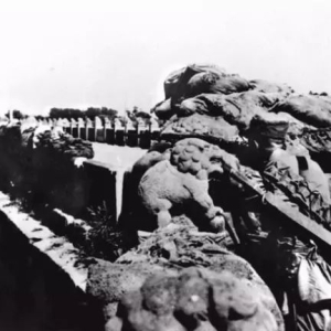 �����ǡ������±䡱85���꣬����ߺ��ӣ���Щ��Ҫ����