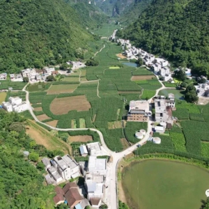 ��������ˡ�����壺����������۳ɻ�