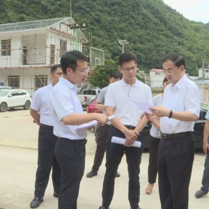 �������󻯵�������Э����Ŀ