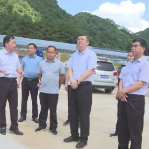 ����쵽�󻯿�չ������˲�ҵ��չ�������