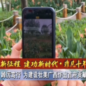 ���ܽ������� ������ʱ�����Ƿ�ʮ�꡿�������������� Ϊ����׳�����������׸�����