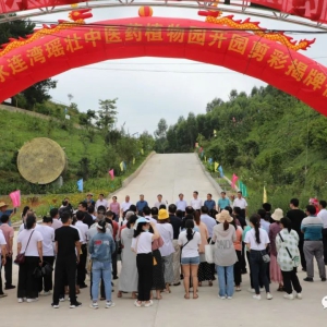 �󻯱�ˮ������׳��ҽҩֲ��԰��԰