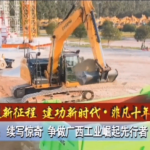 ���ܽ������� ������ʱ�����Ƿ�ʮ�꡿���ݣ���д���� ����������ҵ����������