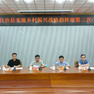 ��ʵʩ�������ս��ָ�Ӳ������ι��������ٿ�