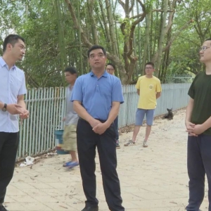 ���������������ָ�����������������Ļ������ۺ�����Ŀ����