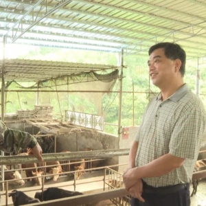 ��������ȫ����ţ��ҵ��չ���