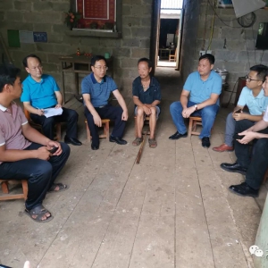 ��ʤ���������߷���ƶ��