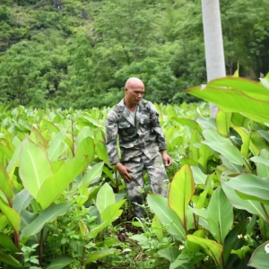 ���������ظ塿Τ�������Ծ�������������ɽ