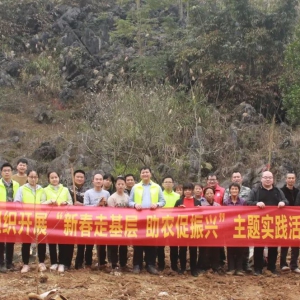 �����磺����֯�����ƶ���������·�չ