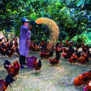 �󻯣���н ���� ǿ�� ��ʵ�ƽ�������������������ж�