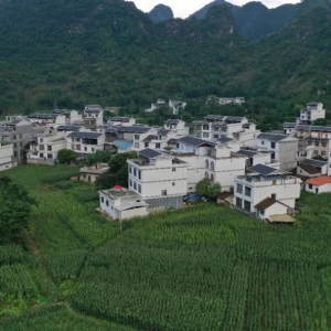 ��������ˡ��󻯣��۽����Ρ�ʵ���ꡱ  �����������