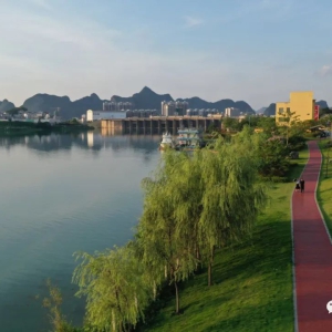 ����ֲ��̬�������� �ƶ���ɫ��չ�����²��������������ؾ�ˮ����̬��