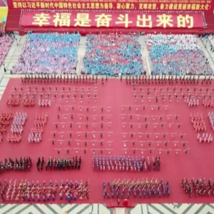 ���Ƿ�ʮ�꡿�󻯣����ľ������͸� ��ɽ���������