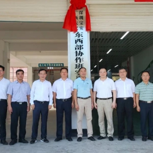 ���ڱ����������鵽�󻯿�չ����Э��������й���