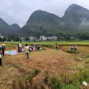 ����㲥������̨���ڻ�������ʽֱ���������������ڴ󻯾���