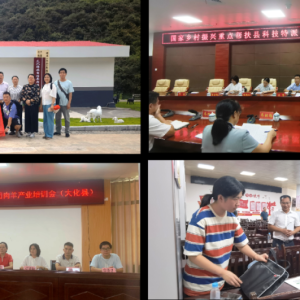 ���ҿƼ������������ҵ�鸰�󻯽��������ҵ����ָ��