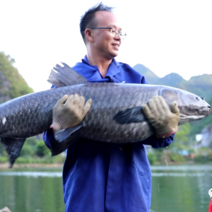 ��׳��������󻯡���������� Ū��ɻ���