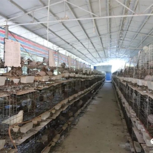 �󻯣���ɽ�ɳ����¸��롱 ��ҵ����������