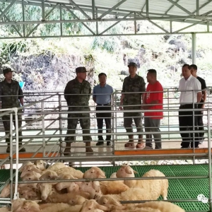 ����ѧ���󻯵���������˹���