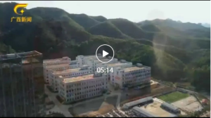 ��׳��������󻯡����˿��� ���İ���������