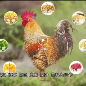 ��̬�󻯣�ʷʫ�������߰�Ū��