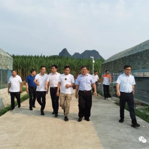 �󻯴������Ҽ�ˮ��������ֳ����̬��ֳʾ��������ͨ����������������