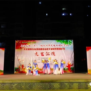 �������й��ڡ��������󻯣�ϲӭ���Ķ�ʮ�� ��ף������