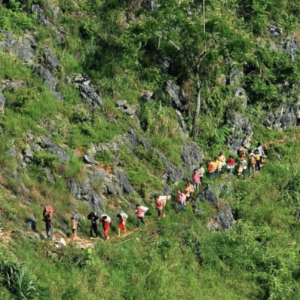 ΢��¼Ƭ��������ϣ��