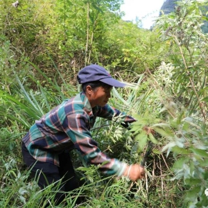 ����л������ �ܽ������̡���ƶ��½�����Ļ��ж�����·