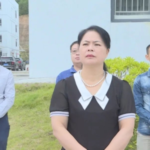 �ӳ���ί�쵼���󻯵���