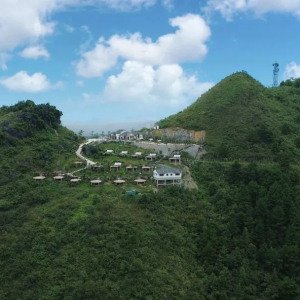 �������������󻯣�������+���������ò�ҵ������Ч