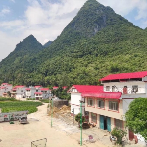 ��ϲӭ��ʮ�󡿴��ƽ��źӺ����ں���Ŀ������������