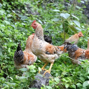 ���Ƿ�ʮ�꡿�󻯣���ҵ����������������ͼ��