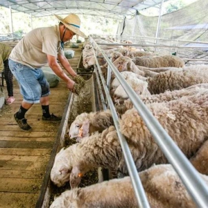 ���Ƿ�ʮ�꡿�󻯣���ҵ����������������ͼ��