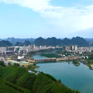 ���Ƿ�ʮ�꡿�󻯣����ľ������͸� ��ɽ���������