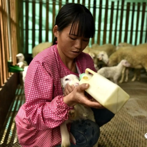 ��̬�󻯣���ɽ�ĺ���