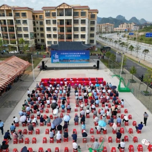 �󻯾����¹ڷ�������Ӧ������ģ������