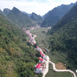 ��������ˡ��󻯣�����ר���Ʊ�����֧��Ƿ��������������������Ŀ���Գ�Ч