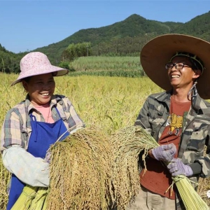 ���ܶ��� ���ഺ��Τ�� Τ���£�Ϊ�˴�׾�Ʈ��