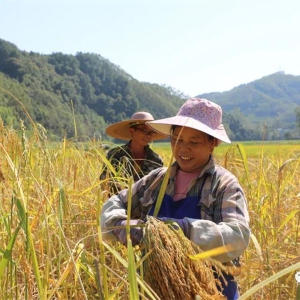 ���ܶ��� ���ഺ��Τ�� Τ���£�Ϊ�˴�׾�Ʈ��