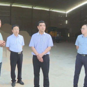 �󻯵����쵼��չ������ᷢչ���й���