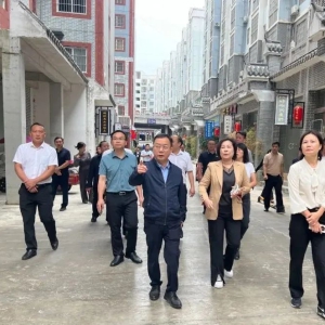 �����ص��������ŵ��󻯿���