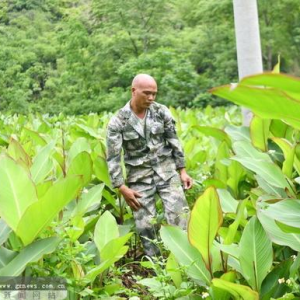 ���ܶ��� ���ഺ�����۾���Τ�������δ���ɽ