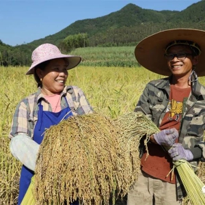 ��̬�� | ������׾�