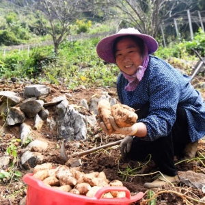 ��̬�� | ��ɽ����������